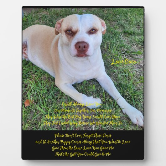 Tafelmodel met Easel Fotoplaat (Voorkant)