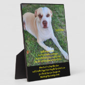 Tafelmodel met Easel Fotoplaat (Zijkant)