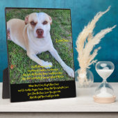 Tafelmodel met Easel Fotoplaat (Zijkant)