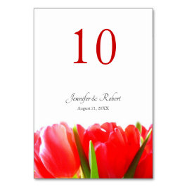Tafelnummer rode tulpen