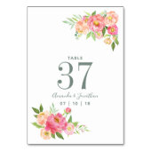 Tafelnummer van de waterverf van het voorjaar (Achterkant)