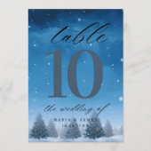 Tafelnummer Winter Snow Bruiloft (Voorkant)