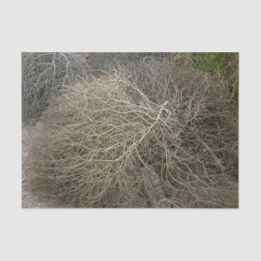 Tafelpapier voor bijtende tumbleweed tissuepapier (Voorkant)