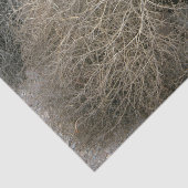 Tafelpapier voor bijtende tumbleweed tissuepapier (Detail)