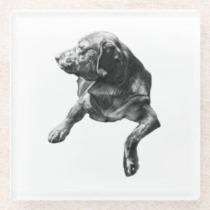 Tafelzijdige pauze, Labrador Glazen Onderzetter