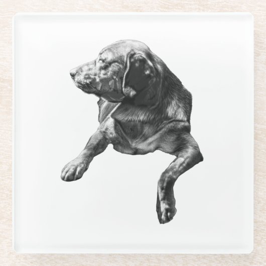 Tafelzijdige pauze, Labrador Glazen Onderzetter (Voorkant)