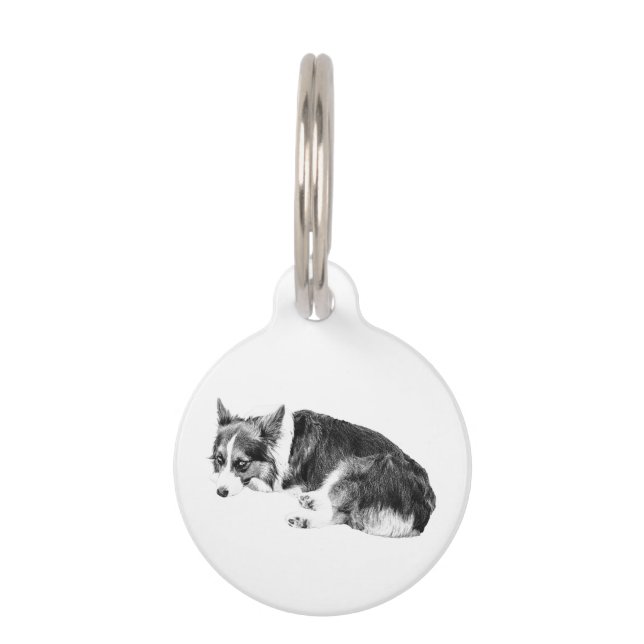 Tag Corgi, zachte stap Huisdierpenning (Voorkant)