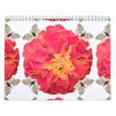 Tagete-ByRino Kalender (Hoes)