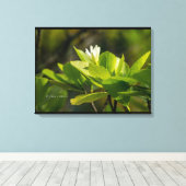 Tahiti-fotografie Itata'e Hoho'a Canvas Afdruk (Insitu (Houten vloer))