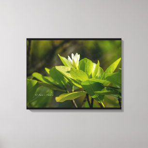 Tahiti-fotografie Itata'e Hoho'a Canvas Afdruk