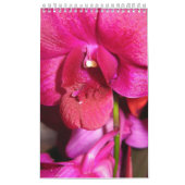 Tahiti Kalender (Hoes)