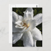Tahitian Gardenia Briefkaart (Voorkant / Achterkant)