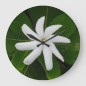 Tahitian Gardenia Grote Klok (Voorkant)