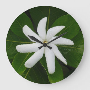 Tahitian Gardenia Grote Klok