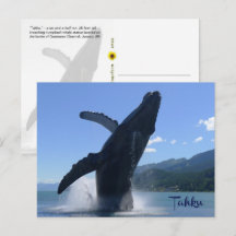 “Tahku”— springende bultrugwalvis beeld - 