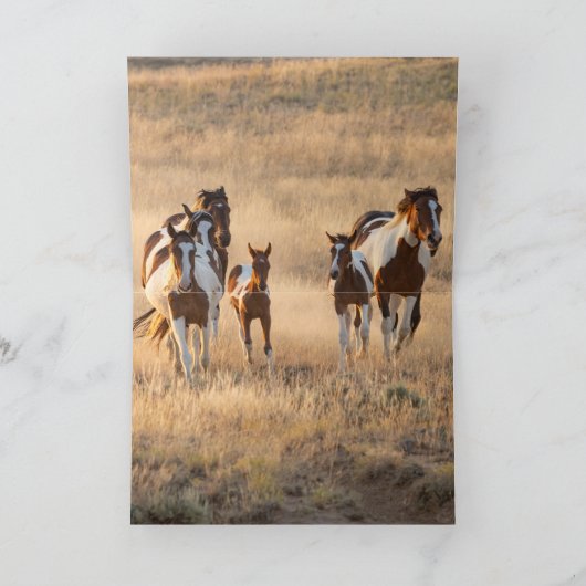 Tahlequah en zijn Wenskaart Bedankkaart (Binnen)