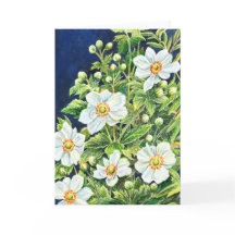 Tahlia's Windbloemen -