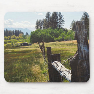 Tahoe Meadow Muismat