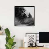 Tahoe National Forest Scene Square 24x24 Foto Poster (Thuiskantoor)