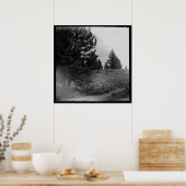 Tahoe National Forest Scene Square 24x24 Foto Poster (Keuken)