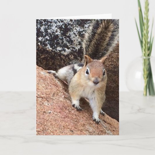 Tahoe Squirrel Note Kaart<Blank Inside> (Voorkant)