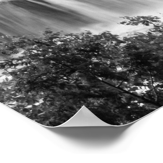 Tahquamenon Bovenste Herfst Grayscale Poster (Hoek)