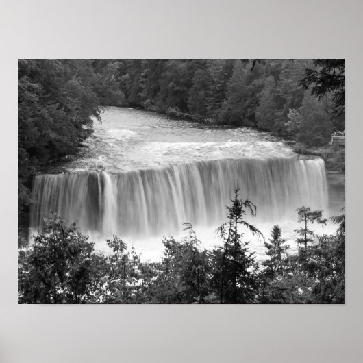 Tahquamenon Bovenste Herfst Grayscale Poster (Voorkant)