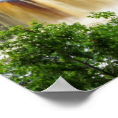 Tahquamenon Bovenste Herfsten Poster (Hoek)