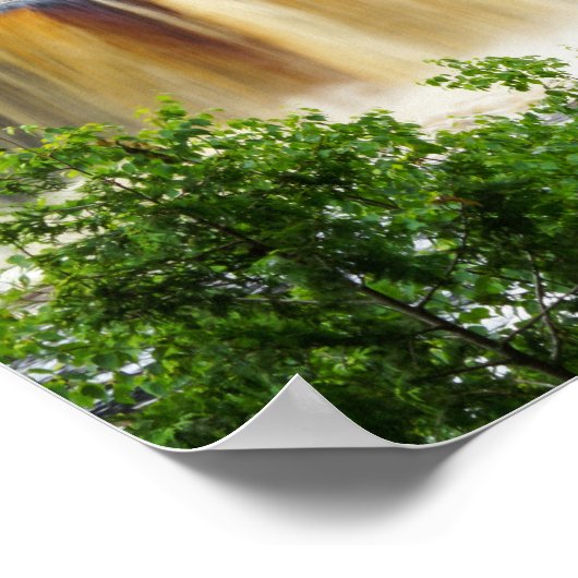 Tahquamenon Bovenste Herfsten Poster (Hoek)