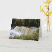 Tahquamenon Herfst 2651 Wenskaart Kaart (Gele Bloem)