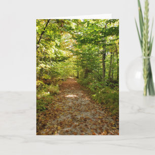 Tahquamenon Herfst natuur volgt herfst Kaart