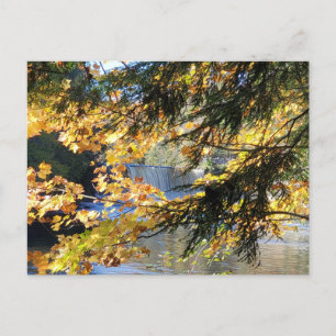 Tahquamenon Herfsten Briefkaart