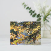 Tahquamenon Herfsten Briefkaart (Staand voorkant)