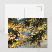 Tahquamenon Herfsten Briefkaart (Voorkant / Achterkant)