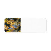 Tahquamenon Herfsten Etiket (Voorkant)