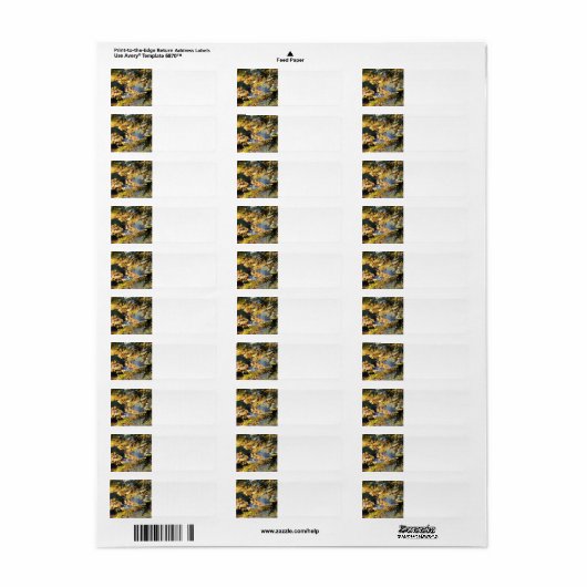 Tahquamenon Herfsten Etiket (Full Sheet)