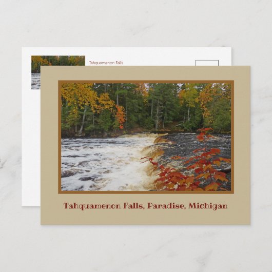 TAHQUAMENON-HERFSTEN IN DE AUTUMN / MICHIGAN'S U.P BRIEFKAART (Voorkant / Achterkant)