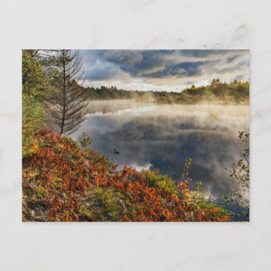 Tahquamenon | Paradise, Michigan Briefkaart (Voorkant)