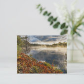 Tahquamenon | Paradise, Michigan Briefkaart (Staand voorkant)