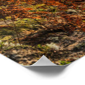 Tahquamenon | Paradise, Michigan Poster (Hoek)