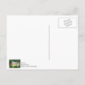 Tahquamenon Upper Falls Briefkaart (Achterkant)