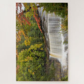 Tahquamenon-watervallen in de herfst legpuzzel (Verticaal)