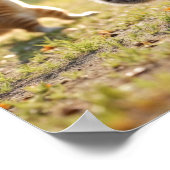 Tai Chi Cats Poster (Hoek)