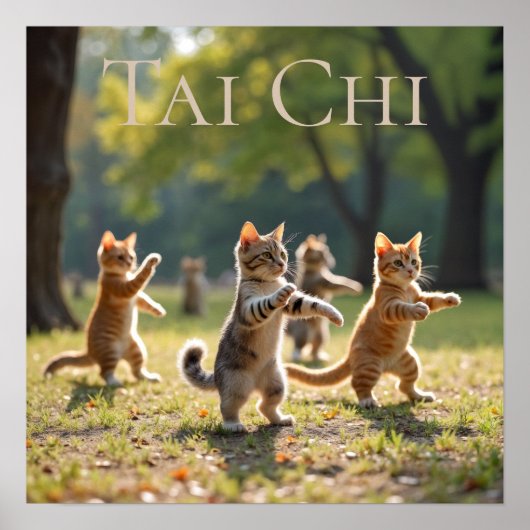Tai Chi Cats Poster (Voorkant)