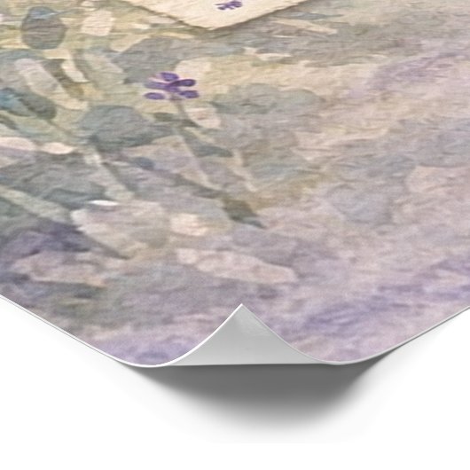 Tai Chi Walking Rustic Routine Chart | Poster (Hoek)