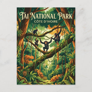 Tai Nationaal Park Ivoorkust Briefkaart
