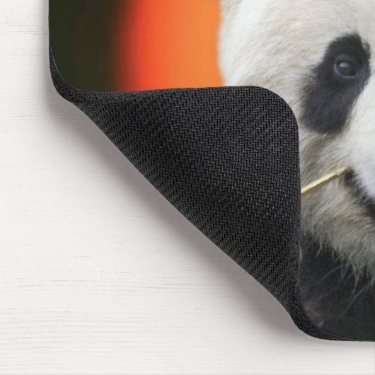 TAI SHAN MUISMAT (Hoek)