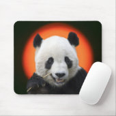 TAI SHAN MUISMAT (Met muis)