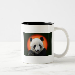 TAI SHAN TWEEKLEURIGE KOFFIEMOK