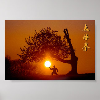 Taichi (taiji), arbre cerisier soleil couchant poster